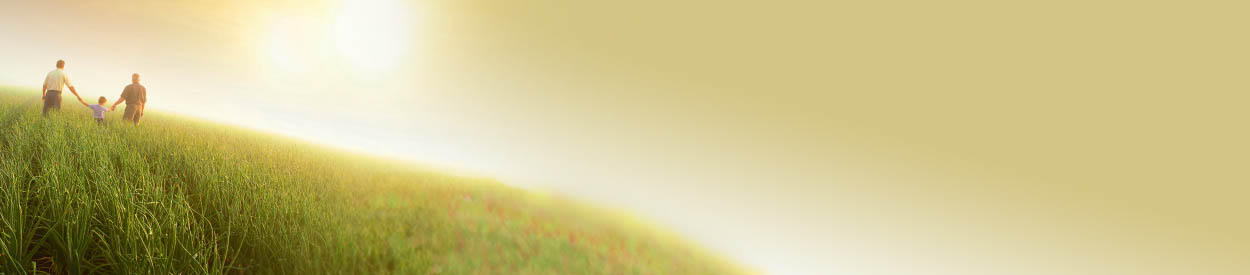 #nivo1 Untitled Header Image