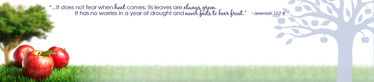 #nivo6 Untitled Header Image